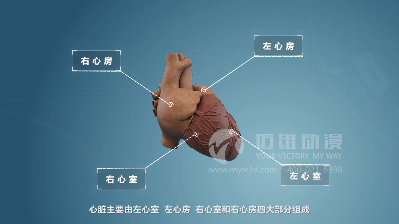 醫(yī)療器械三維動(dòng)畫(huà)制作 醫(yī)療器械三維動(dòng)畫(huà)制作
