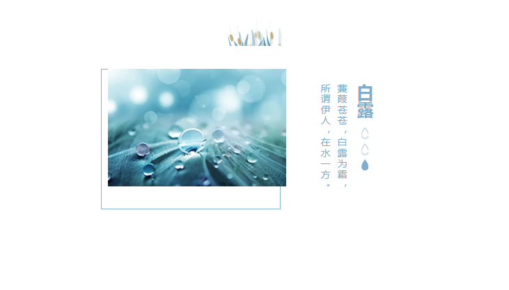 邁維新聞 邁維新聞