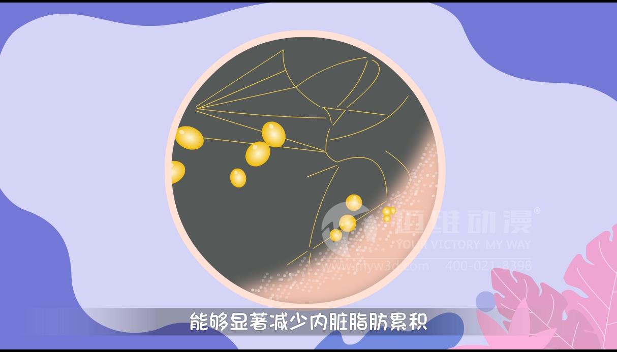 MG動(dòng)畫(huà)，邁維動(dòng)漫.jpg