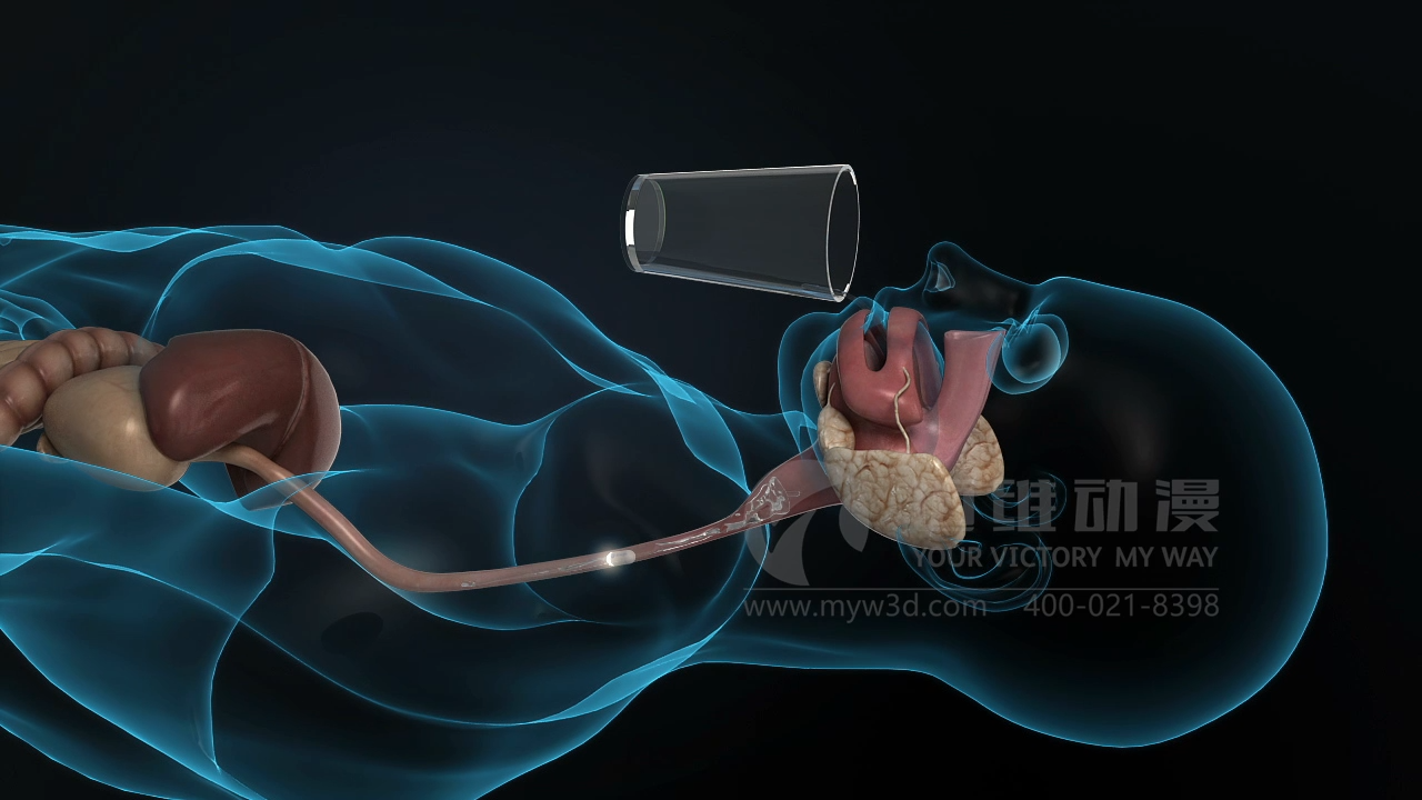 醫(yī)療三維動畫制作.png 醫(yī)療三維動畫制作.png