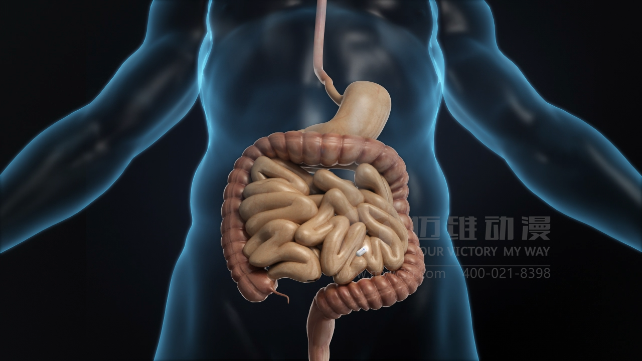 醫(yī)療三維動畫制作.png 醫(yī)療三維動畫制作.png