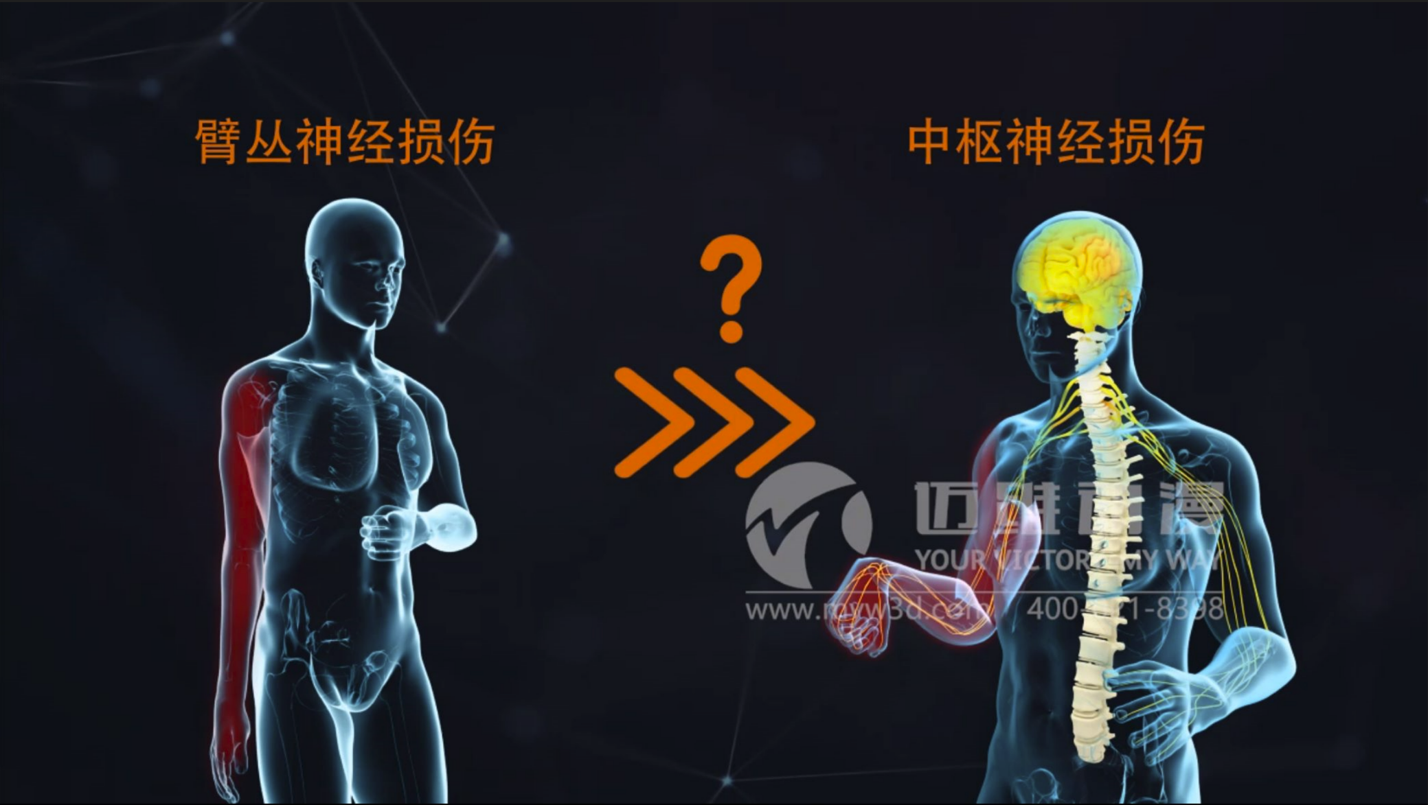 三維動(dòng)畫(huà)對(duì)醫(yī)療行業(yè)的影響(圖1)