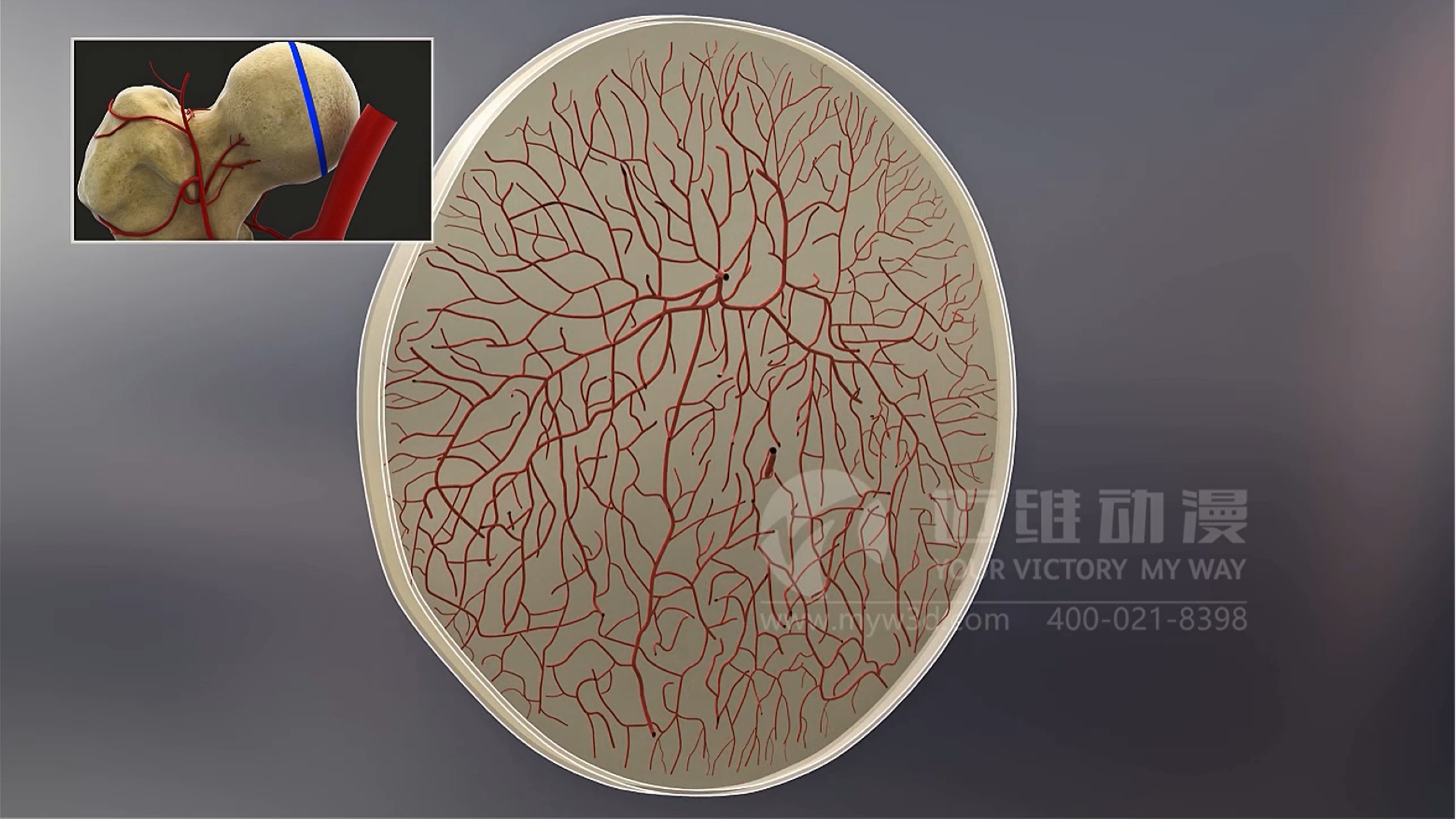 三維動(dòng)畫(huà)對(duì)醫(yī)療行業(yè)的影響(圖3)