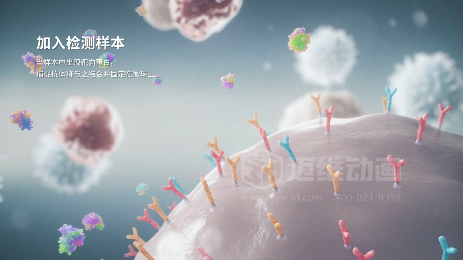 微觀世界竟能“動(dòng)”起來(lái)？生物科技三維動(dòng)畫(huà)帶你沉浸式探索生命奧秘(圖2)